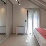 Maistrali Loft